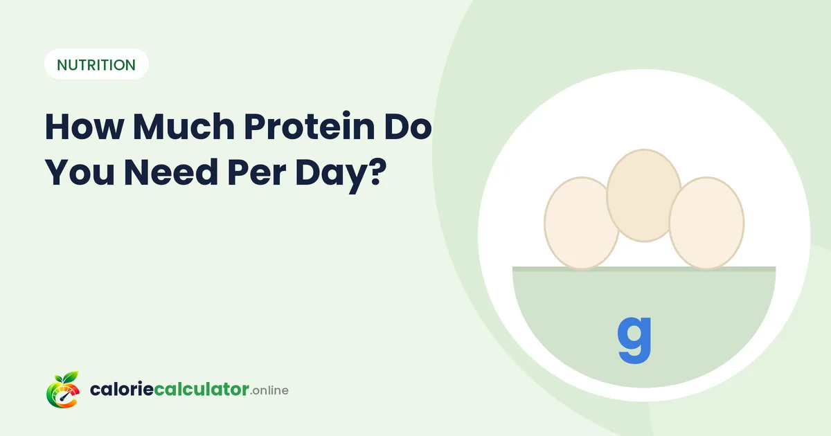 How Much Protein Do You Need Per Day?